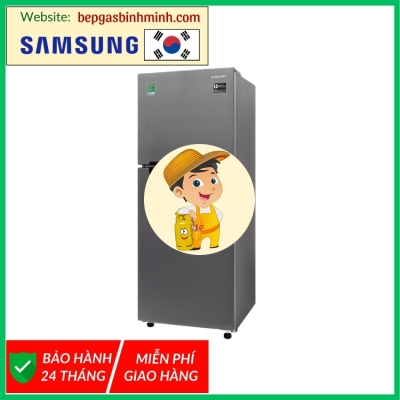 Tủ lạnh Samsung Inverter 208 lít RT19M300BGS/SV