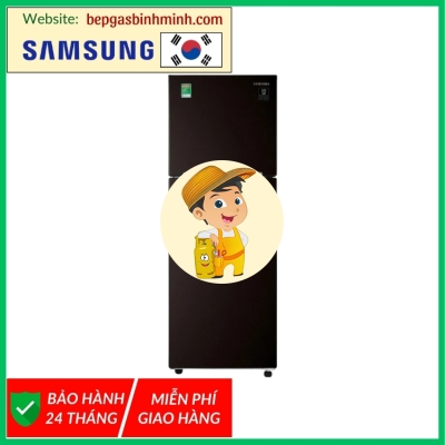 Tủ lạnh Samsung Inverter 236 lít RT22M4032BY/SV